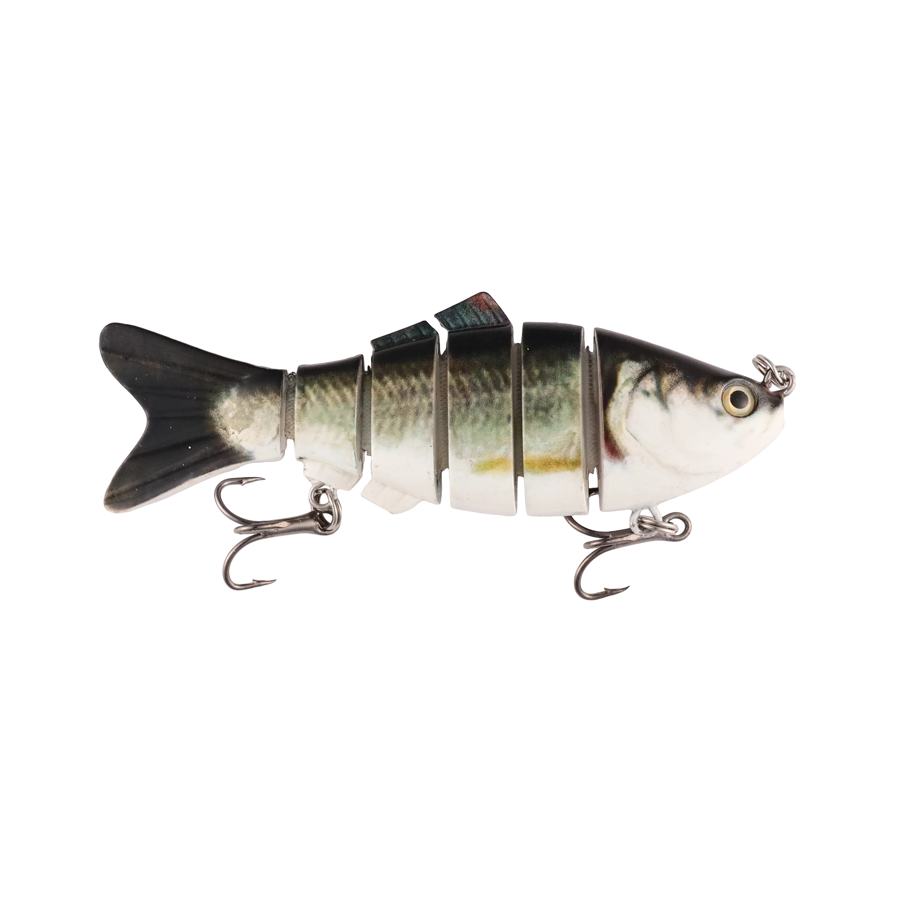 Channel Catfish