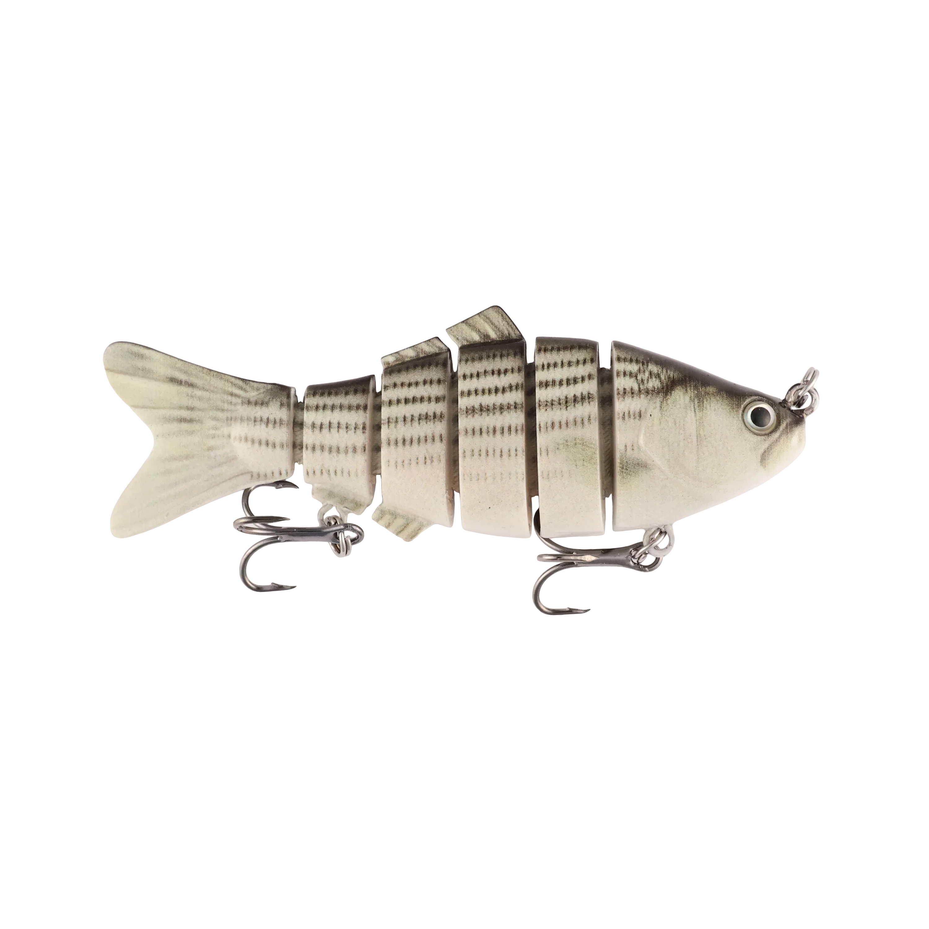 Striped Bass