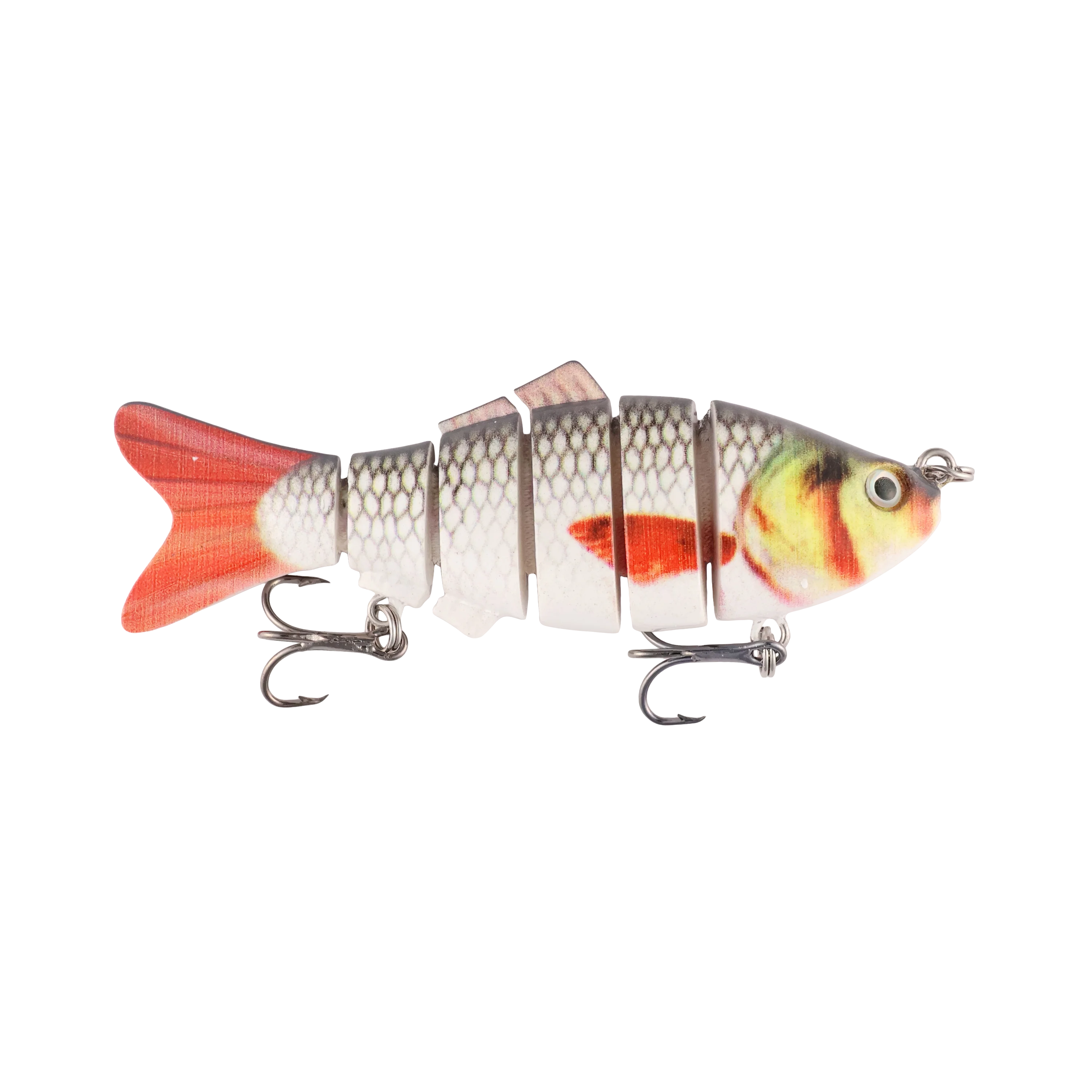 Red Tailed Shiner