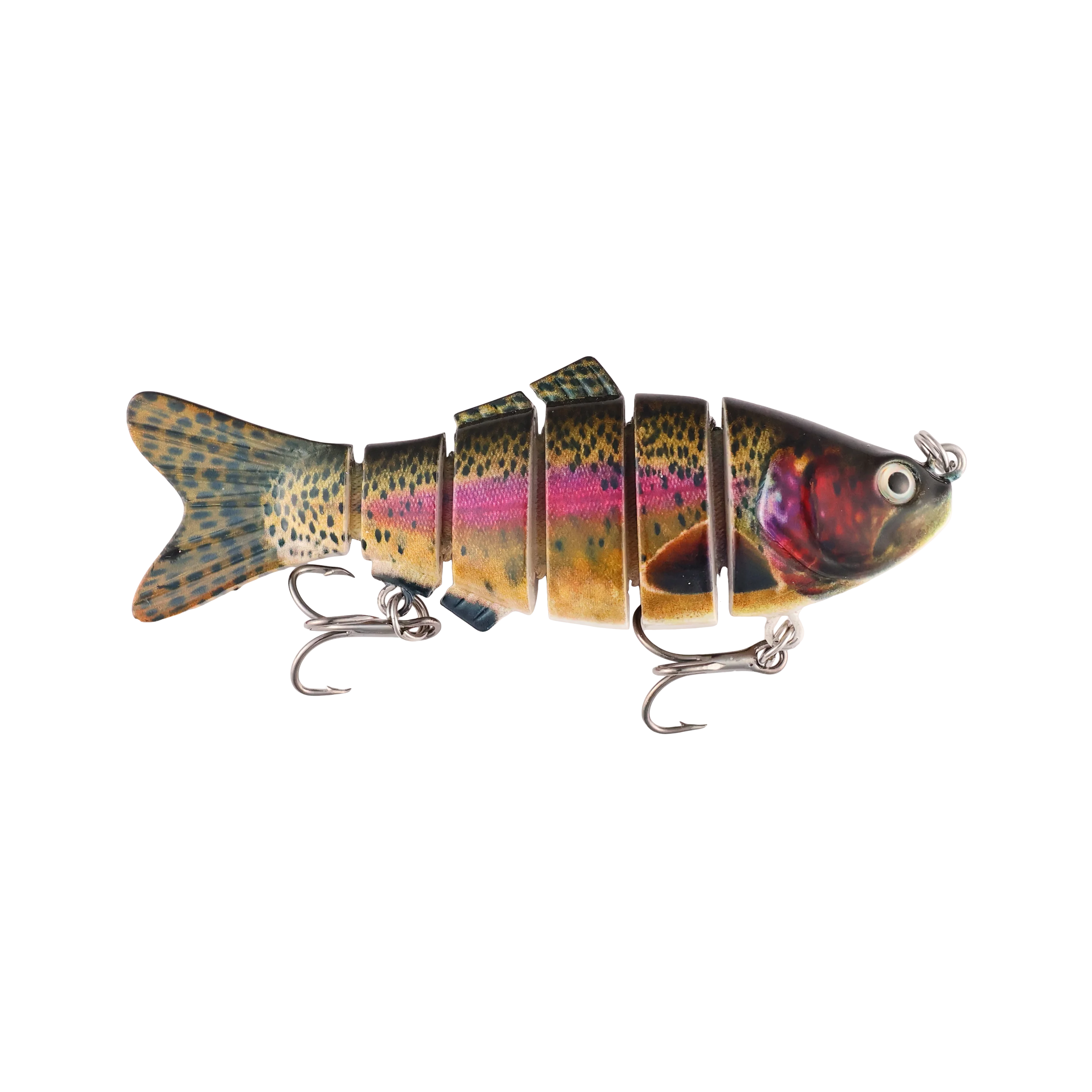 Rainbow Trout