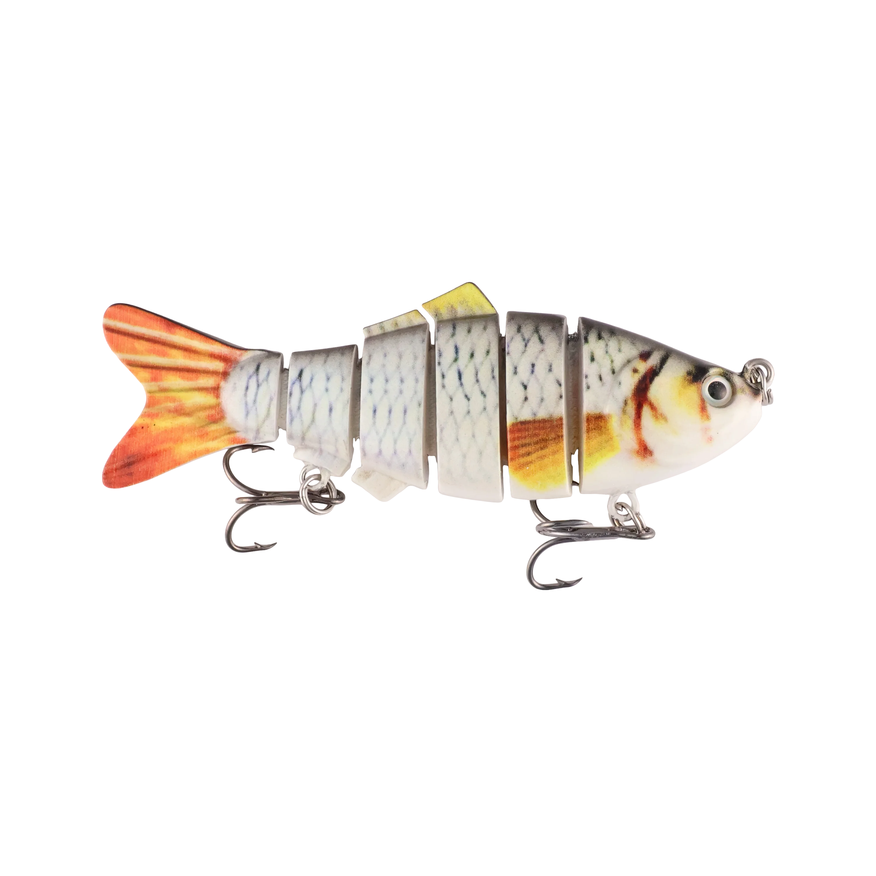 Orange Tailed Shiner